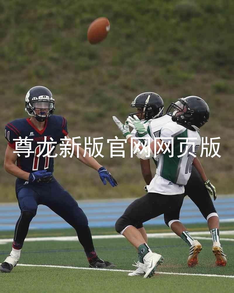 尊龙新版官网网页版