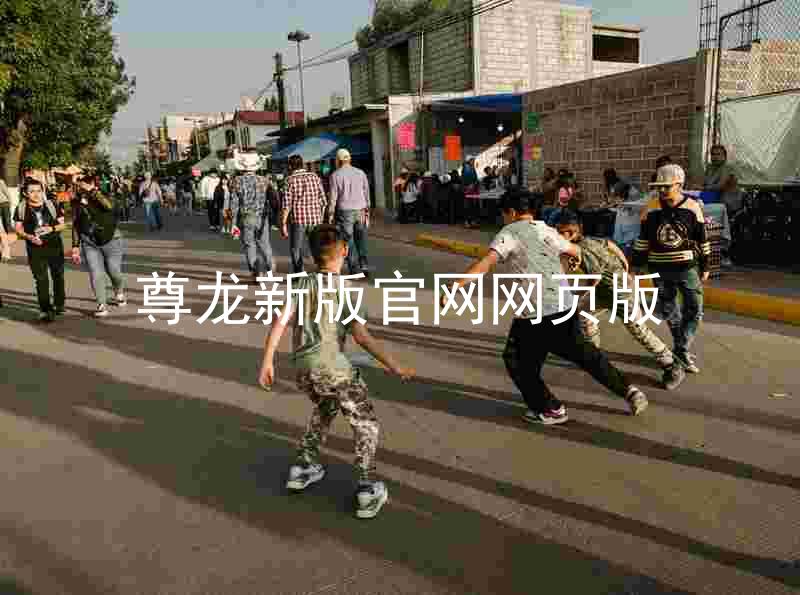 尊龙新版官网网页版